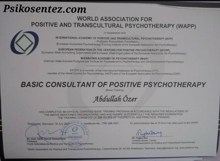 Basic Consultant of Positive Psychotherapy