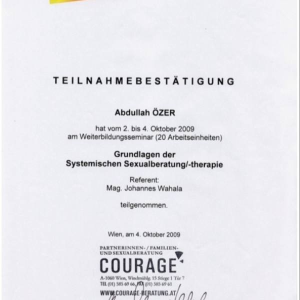 Sistemik Cinsel Danışmanlık ve Terapinin Temelleri